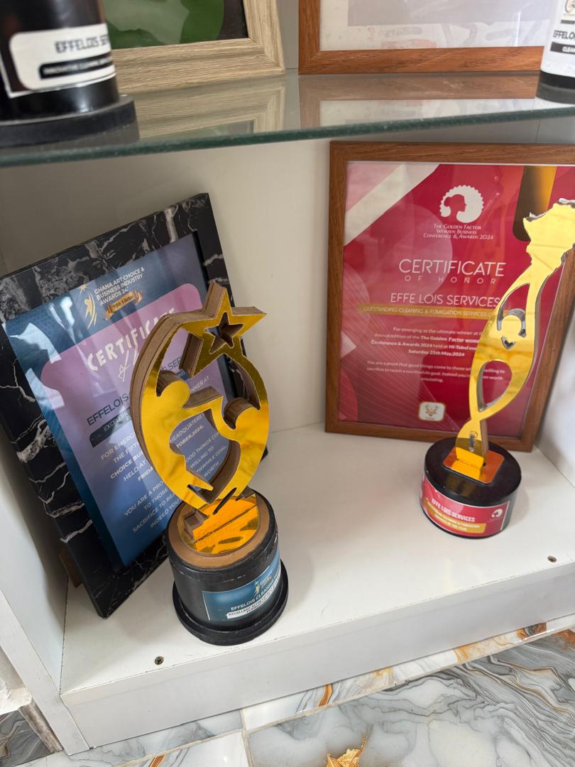 Cleaning & Laundry Services, Car Detailing & Fumigation — Ghana Corporate Summit & Awards — Imperial Leo Group
