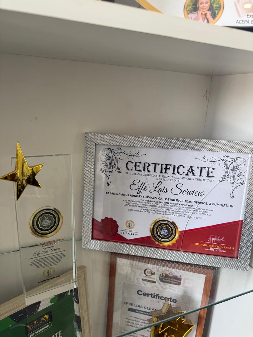 Most Inspiring Entrepreneur in Innovative Cleaning Solutions — ACEPA Event Secretariat — Africa 100 Awards