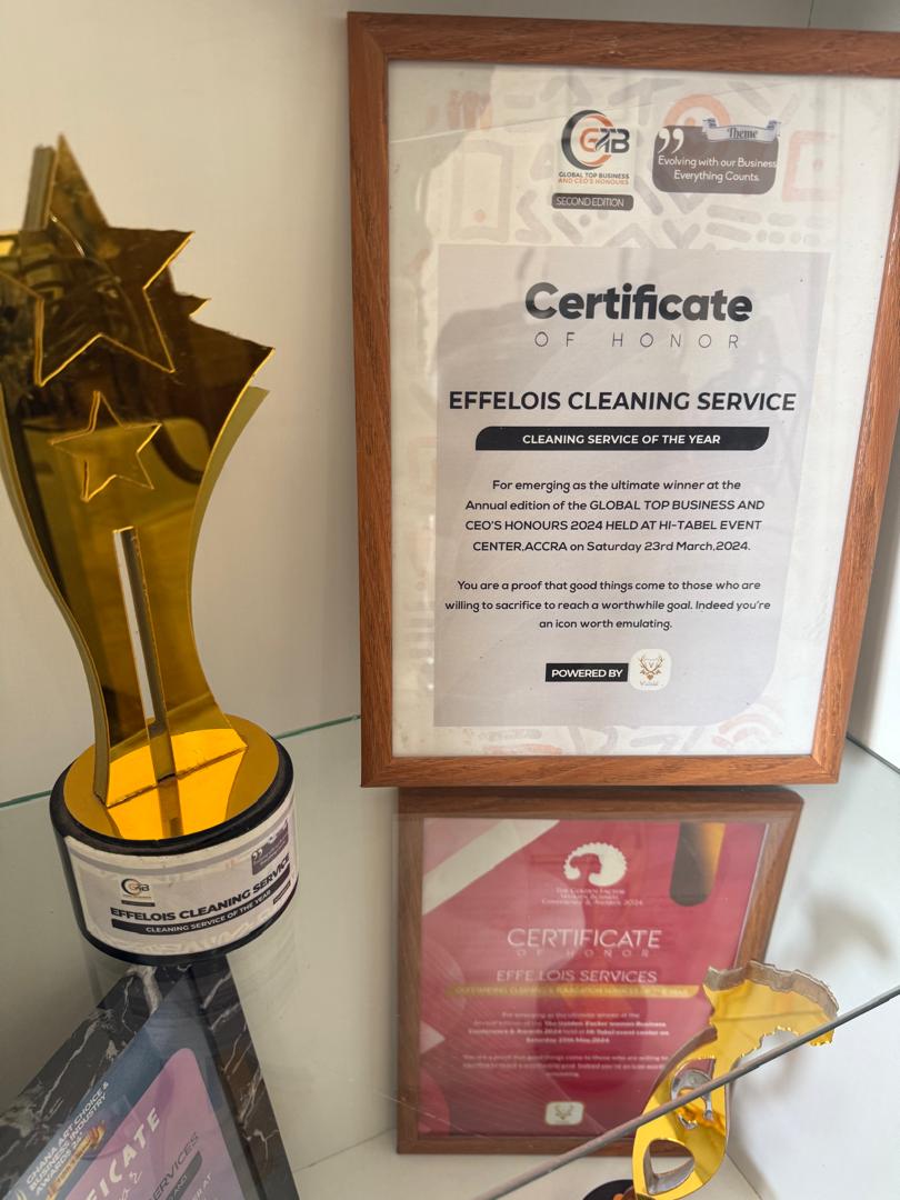 Certificate of Participation — Entrepreneur of the Year — Emerging Entertainers Awards Africa — 5th Edition